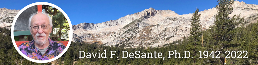 Dave DeSante banner photo